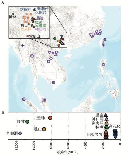 本次研究新样本的地理和时间分布图。　中科院古脊椎所 供图