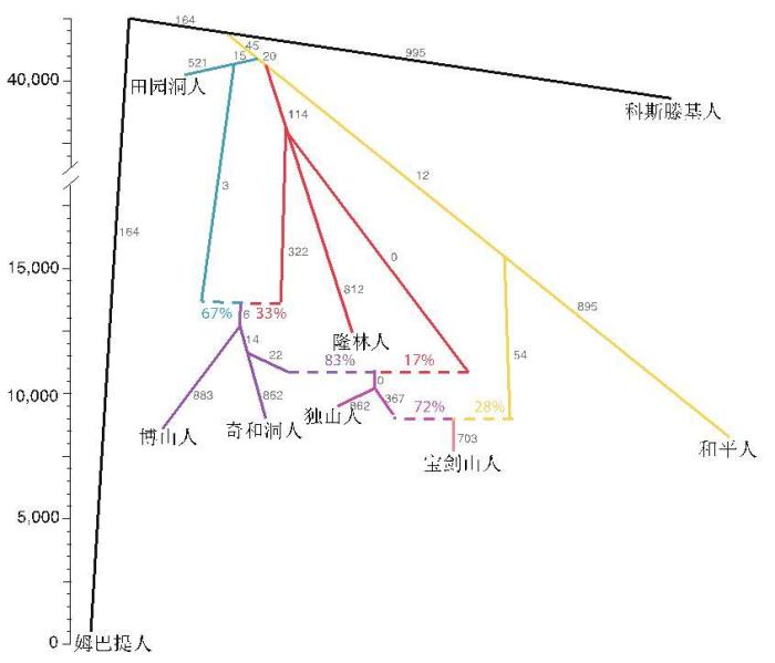 早期亚洲人群系统发育图。　中科院古脊椎所 供图