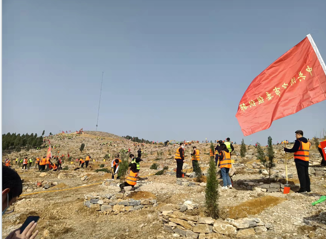 绿染大地满眼春 ——济宁市“万名干部绿化荒山”暨义务植树活动侧记