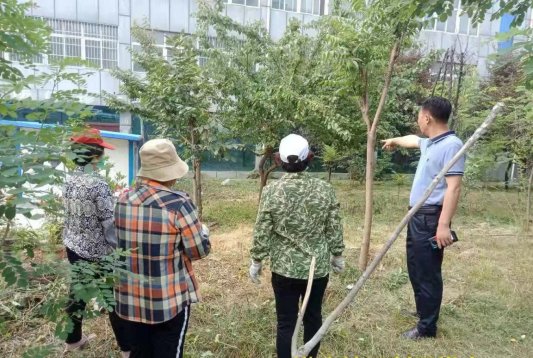 济宁市南张街道 “三位一体”提升社区居民满意度